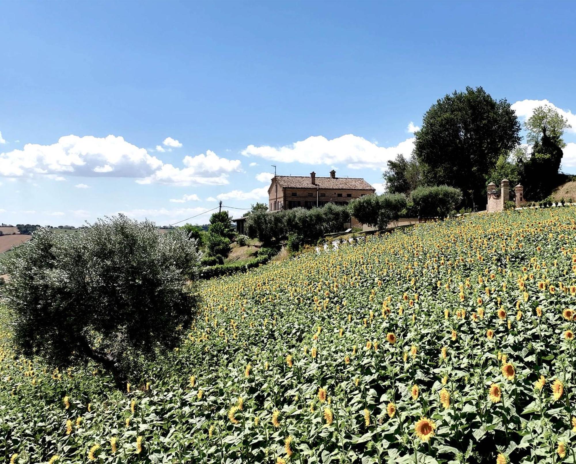 Bed And Breakfast La Vecchia Scuola Montefano Kültér fotó